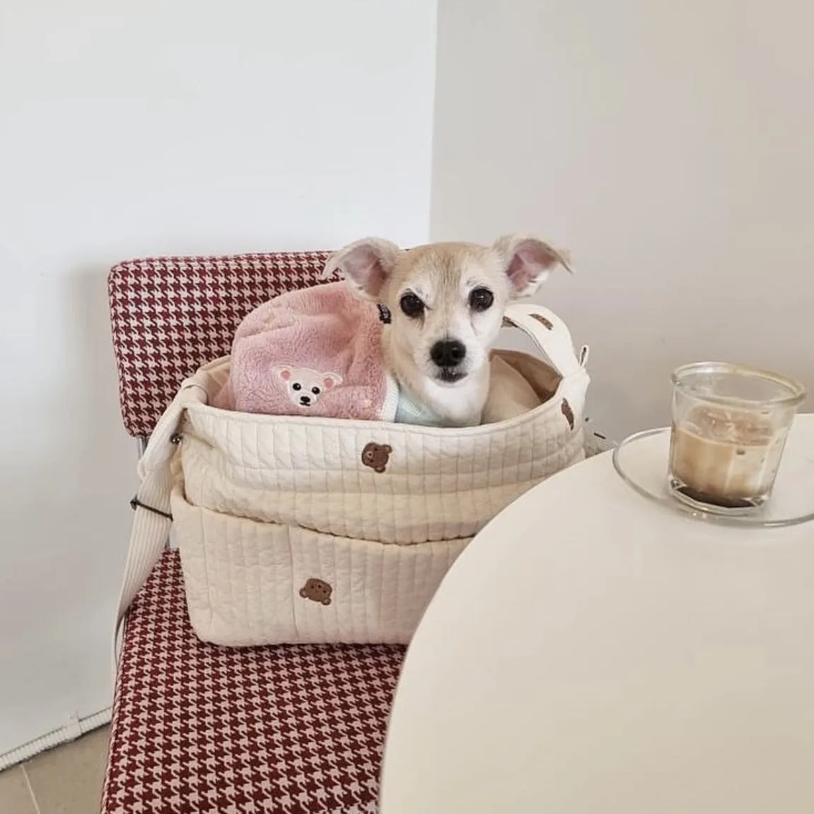 Bear Printed Dog Cat Carrier Bag