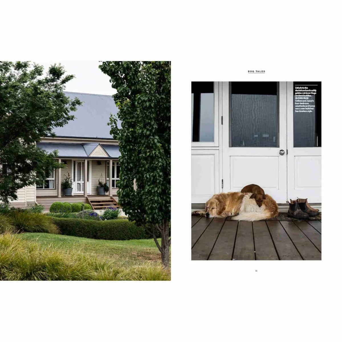 Country Dogs by Country Style