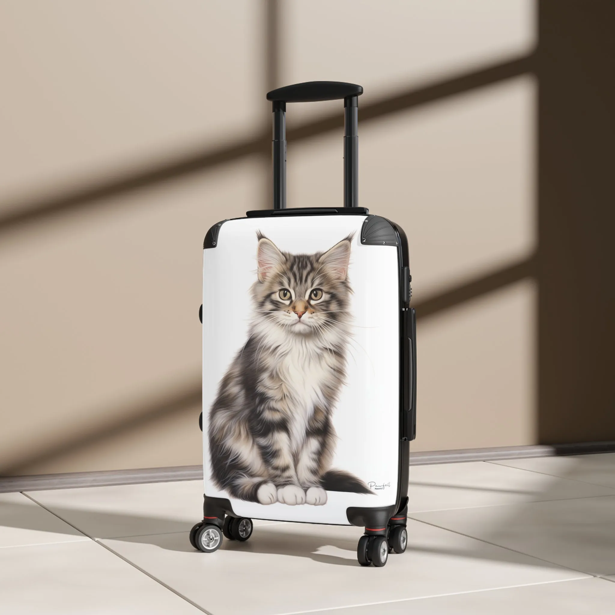 Maine Coon Suitcase