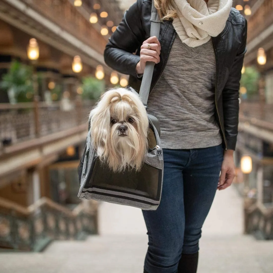 Pet Carrier Bag - Airline Approved Pet Comfort Carrier - Soft Sided Pet Carrier - Bergan