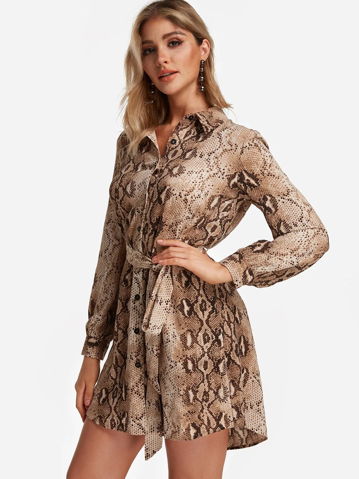 Wholesale Brown V-Neck Long Sleeve Snake Self-Tie Mini Dress